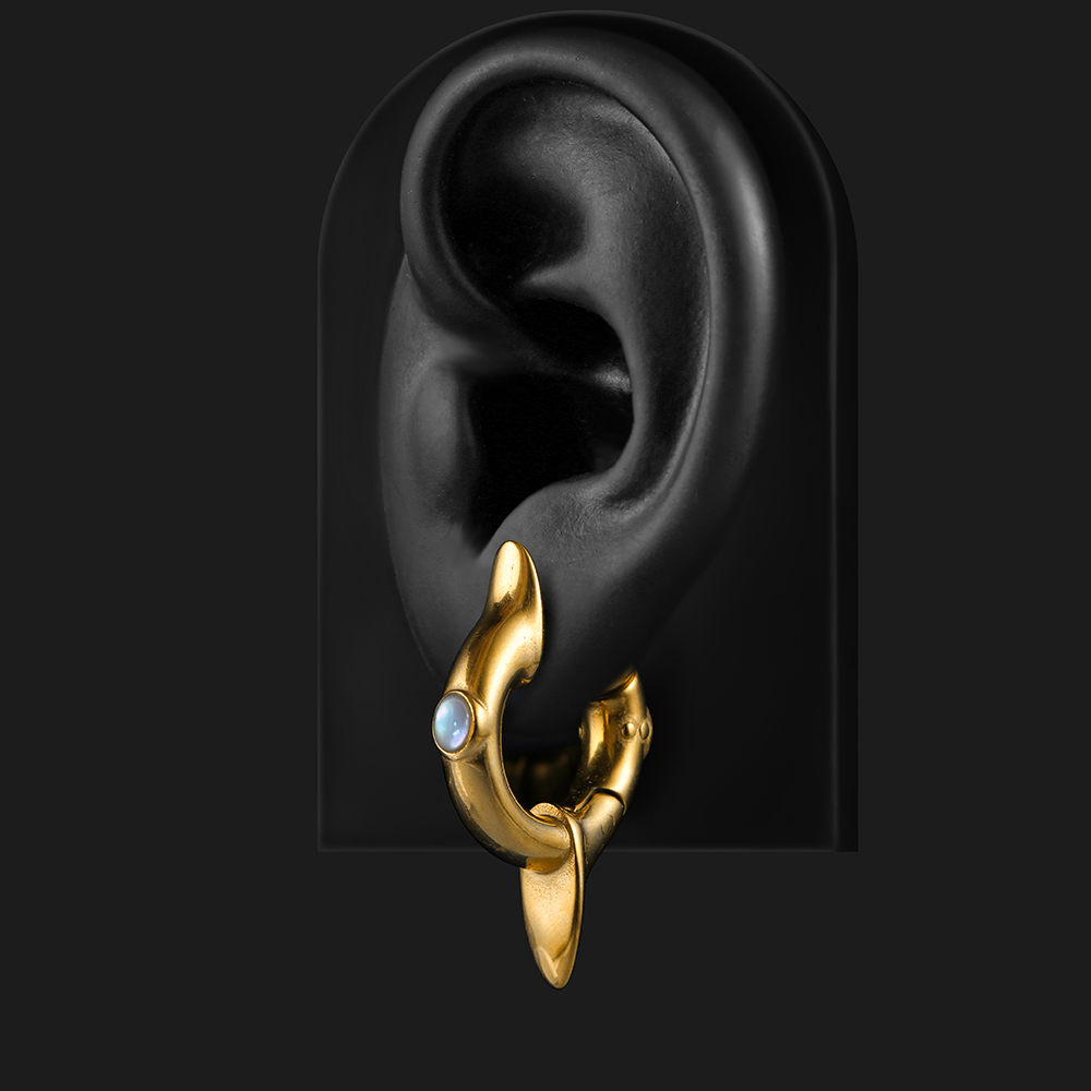 Earblity 2PCS Ear Weights 316L - Body Jewelry Hangers recension och pris