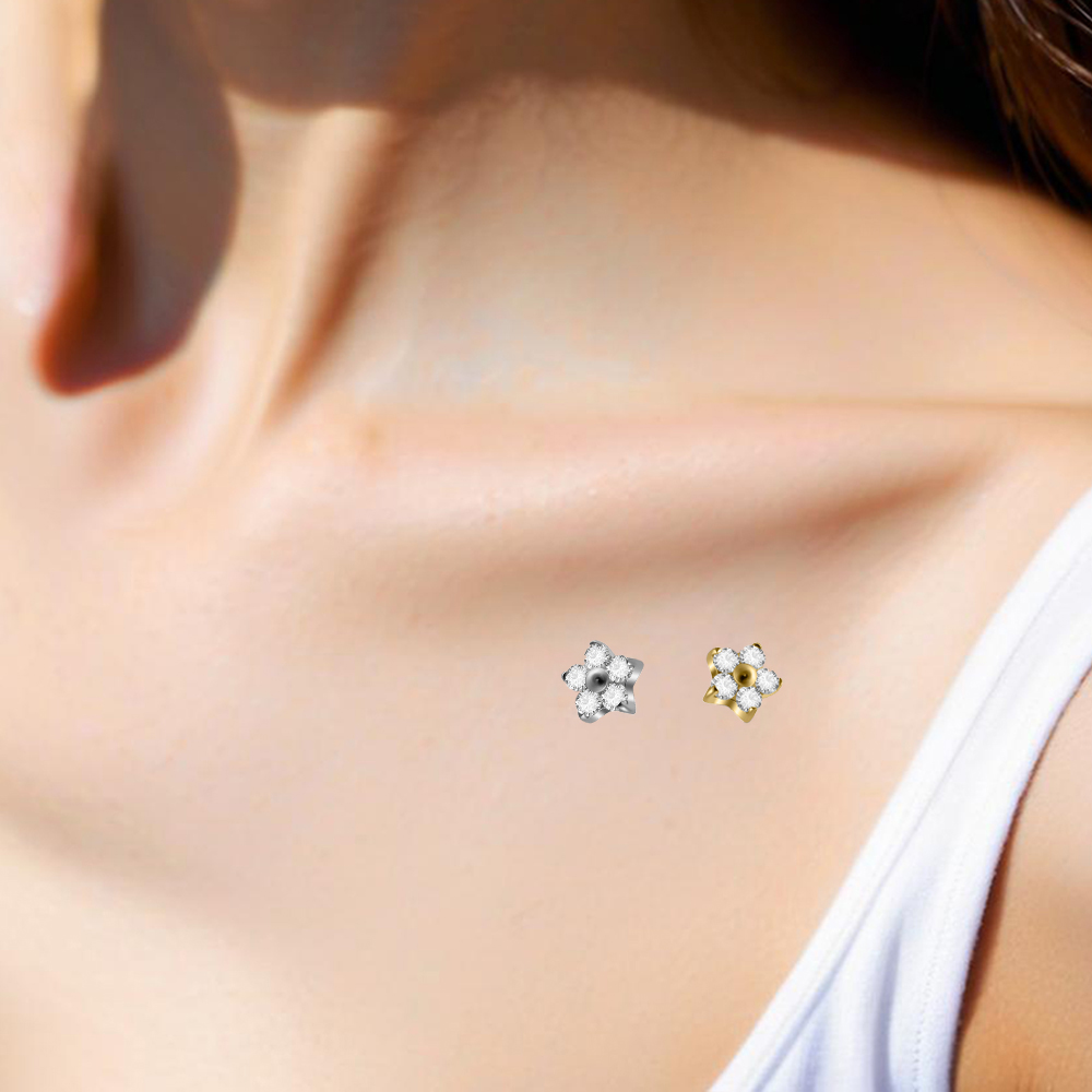 1PC G23 Implant Titanium Derma - Body Jewelry Dermal recension och pris